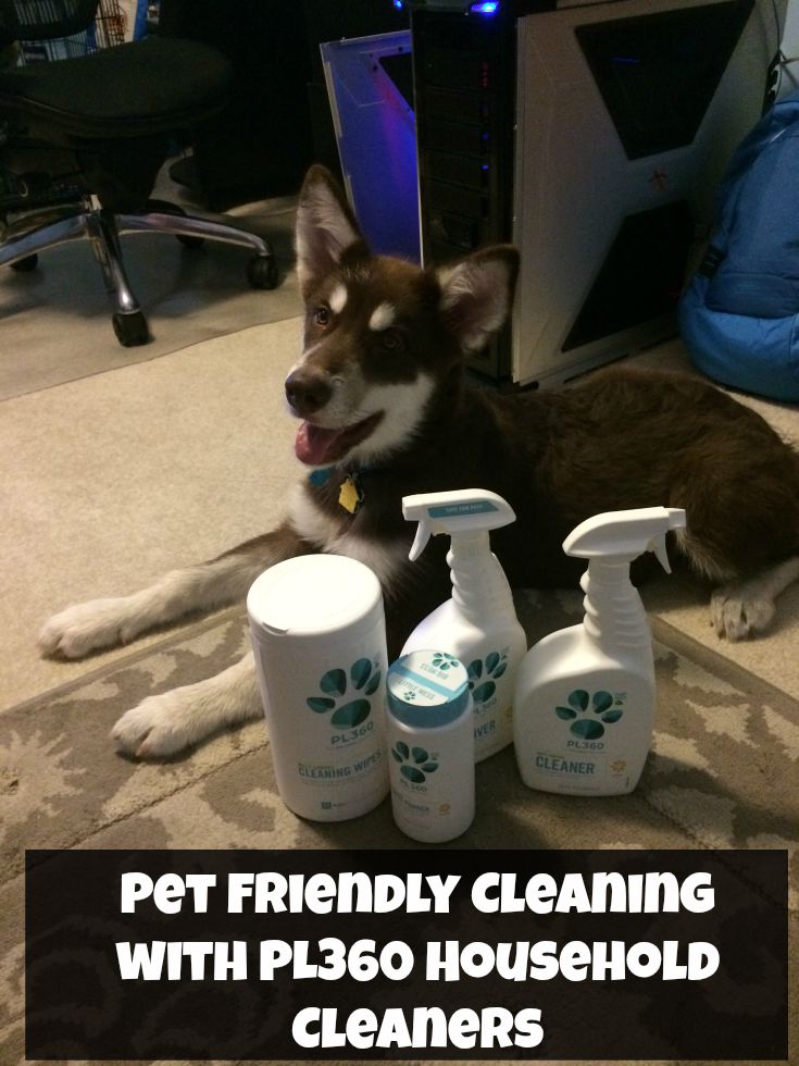 Looking for some awesome, plant based cleaners for your home that are also pet friend? See what we think of PL360's line of household cleaners here!