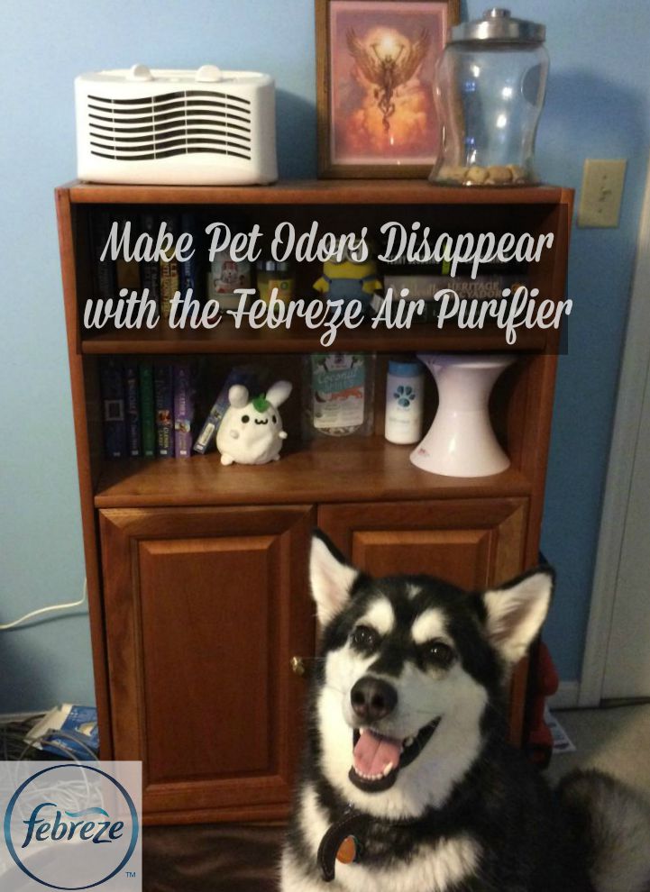 Love your pets but tired of fighting back against not so nice pet odors? See what we think of the Febreze Air Purifier and how we think it helped our home here!