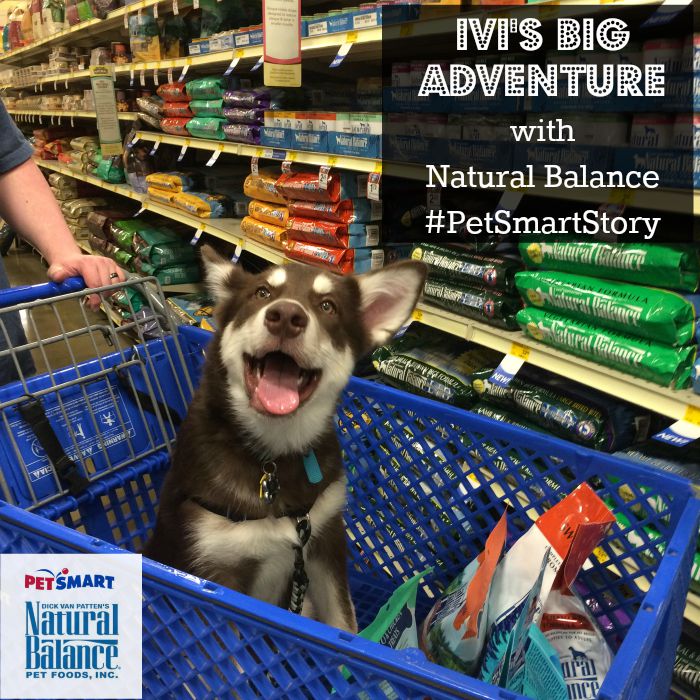 Want to see what Ivi does on her first big adventure without Reya? See why Ivi is so excited to be visiting PetSmart for the Natural Balance launch celebration here! #PetSmartStory