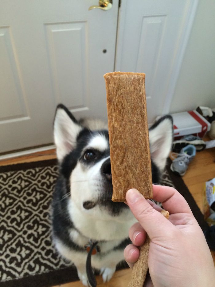 Jerky Treat 1