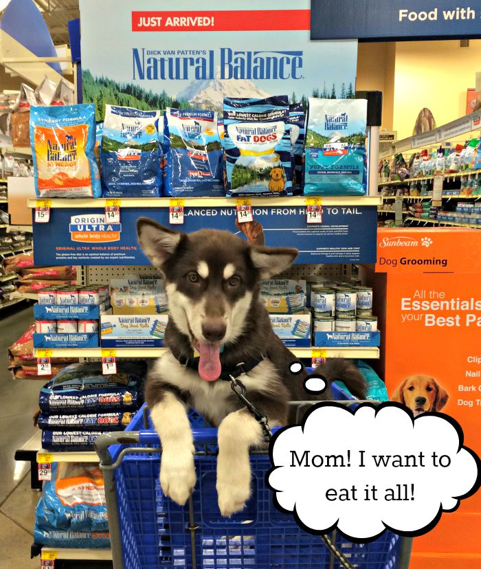 Want to see what Ivi does on her first big adventure without Reya? See why Ivi is so excited to be visiting PetSmart for the Natural Balance launch celebration here! #PetSmartStory