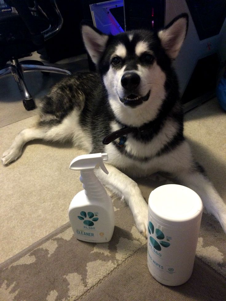 Looking for some awesome, plant based cleaners for your home that are also pet friend? See what we think of PL360's line of household cleaners here! 