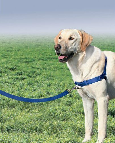 PetSafe Easy Walk Harness