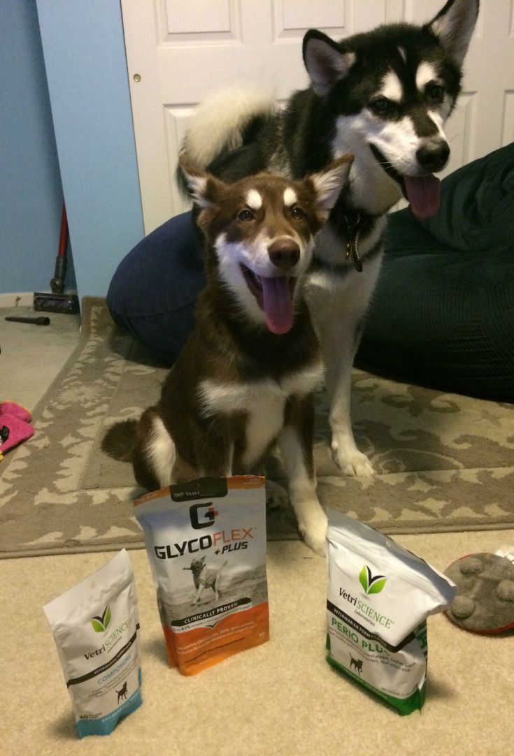 Looking for some awesome supplements for your favorite dog? See what we think of VetriScience's Perio Plus, Composure, and GlycoFlex Plus supplements here! 