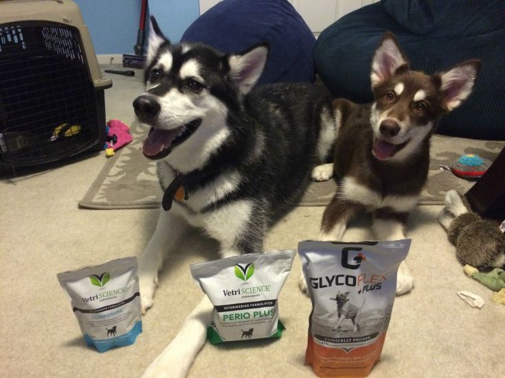 Looking for some awesome supplements for your favorite dog? See what we think of VetriScience's Perio Plus, Composure, and GlycoFlex Plus supplements here! 