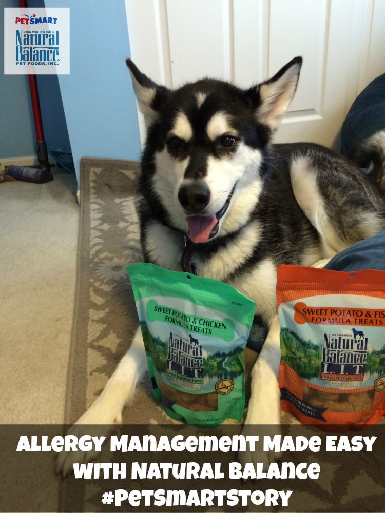 Looking for food and treats to make managing dog allergies easier? See what we think of PetSmart's selection of Natural Balance food & treats here! #PetSmartStory