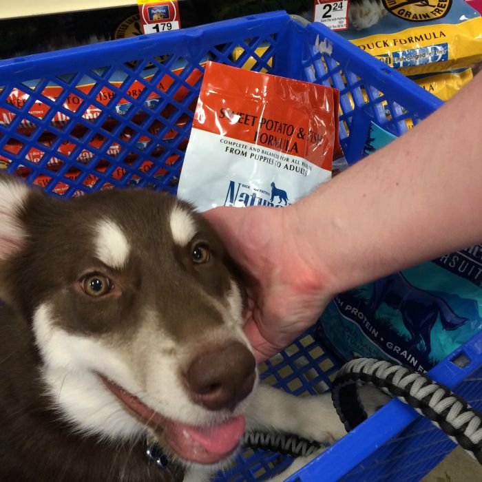 Looking for food and treats to make managing dog allergies easier? See what we think of PetSmart's selection of Natural Balance food & treats here! #PetSmartStory