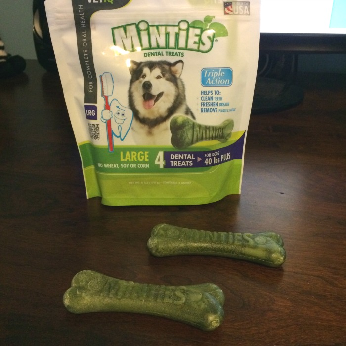 Looking for some awesome supplements for your favorite dog? See what we think of VetIQ Hip & Joint Chews & Minties Dental Treats here! 