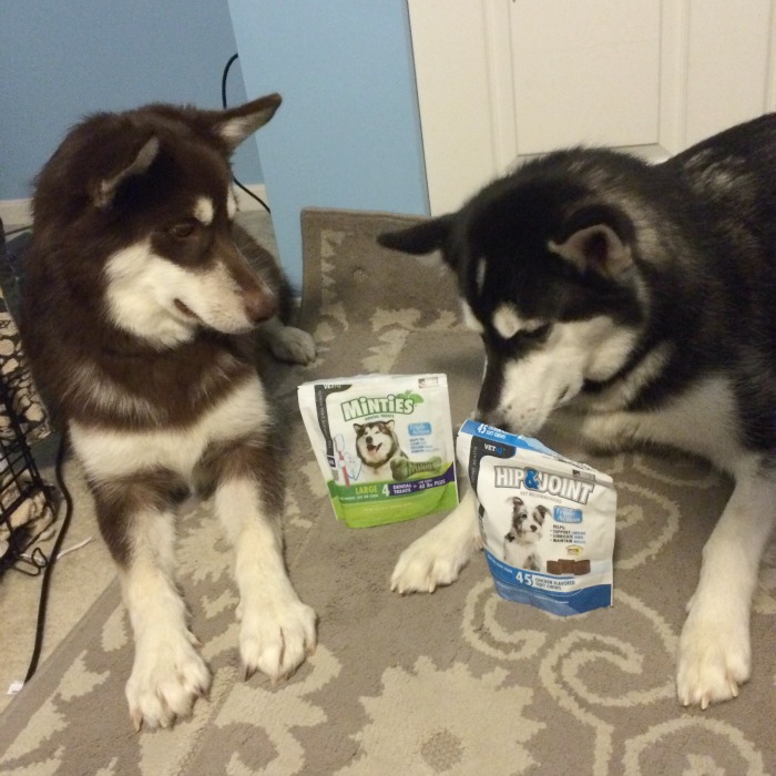 Looking for some awesome supplements for your favorite dog? See what we think of VetIQ Hip & Joint Chews & Minties Dental Treats here! 