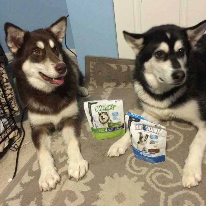 Looking for some awesome supplements for your favorite dog? See what we think of VetIQ Hip & Joint Chews & Minties Dental Treats here! 