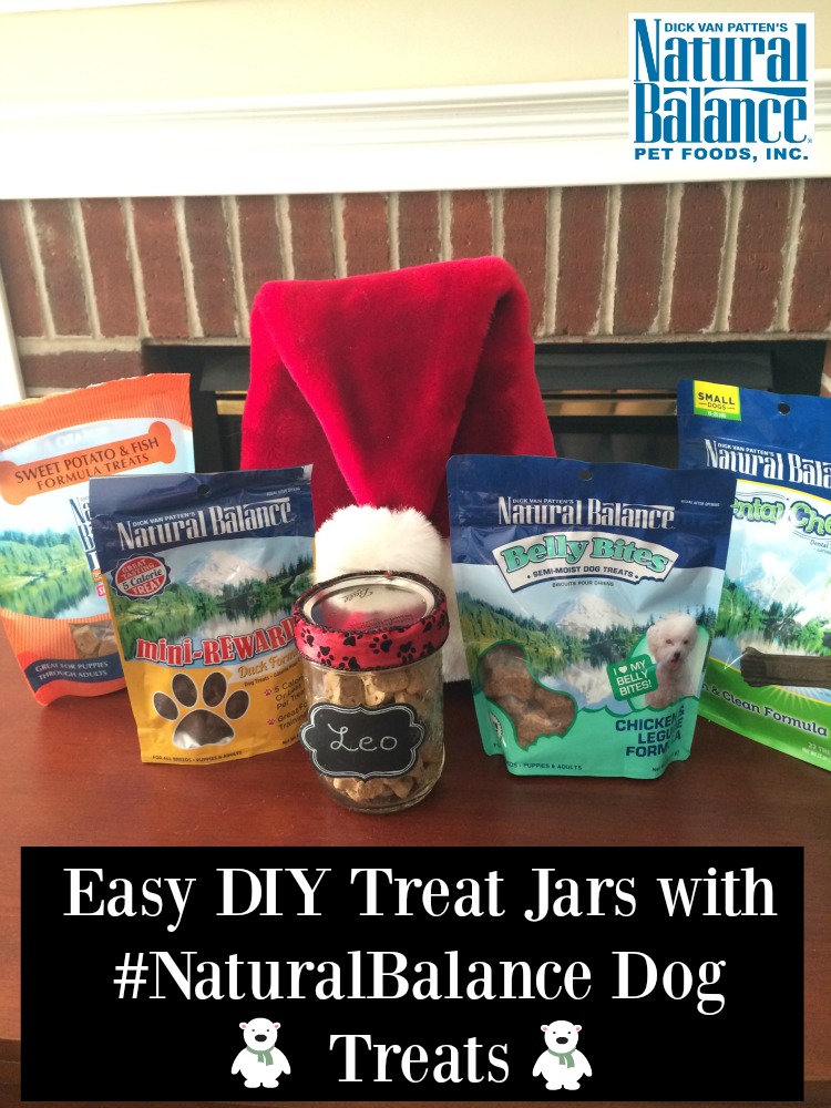Looking for an adorable gift for canines on your Christmas list? Make dogs smile this holiday season with our super easy DIY Treat Jars here! #NaturalBalance