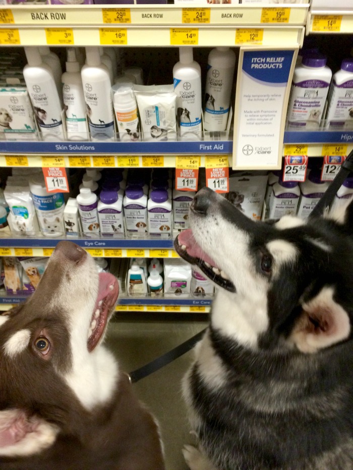 Looking for quality grooming products for dogs that are perfect for sensitive, dry skin? See what we think of #BayerExpertCare Moisturizing Shampoo and Conditioner here! 