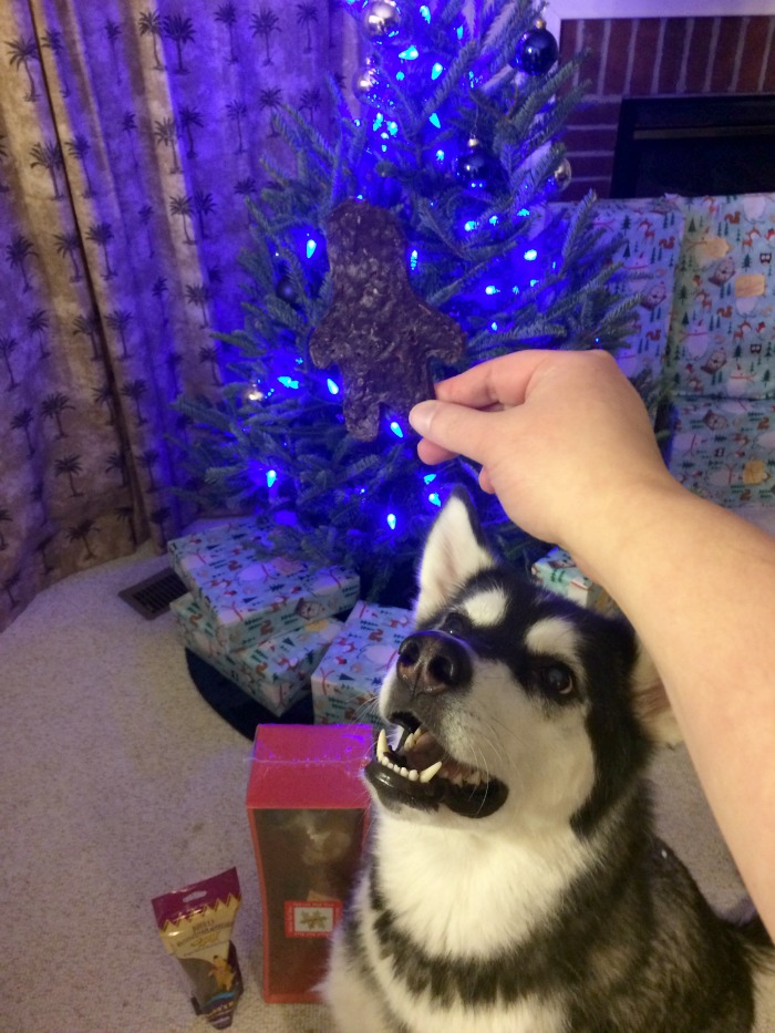 Looking for the perfect dog stocking stuffers this Christmas? See why we are big fans of Jones Natural Chews this holiday season & enter to win 1 of 15 prize packs here! 