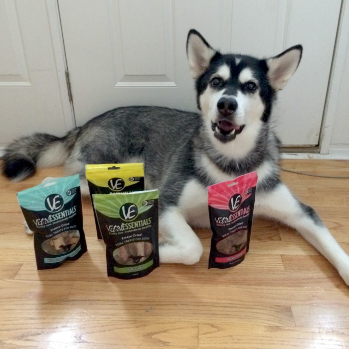 Want to drive your dog wild with yummy, freeze dried, single ingredient treats? See what we think of Vital Essentials 4 new freeze dried treats here! 