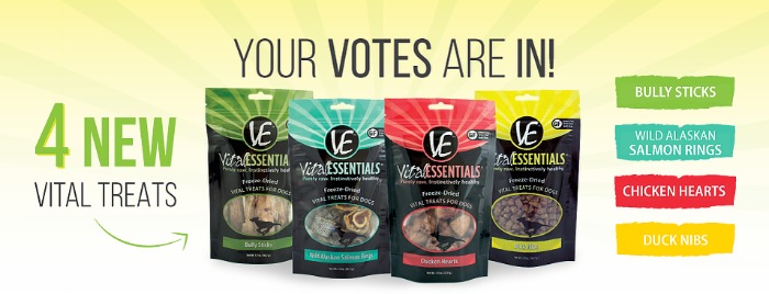 Want to drive your dog wild with yummy, freeze dried, single ingredient treats? See what we think of Vital Essentials 4 new freeze dried treats here! 