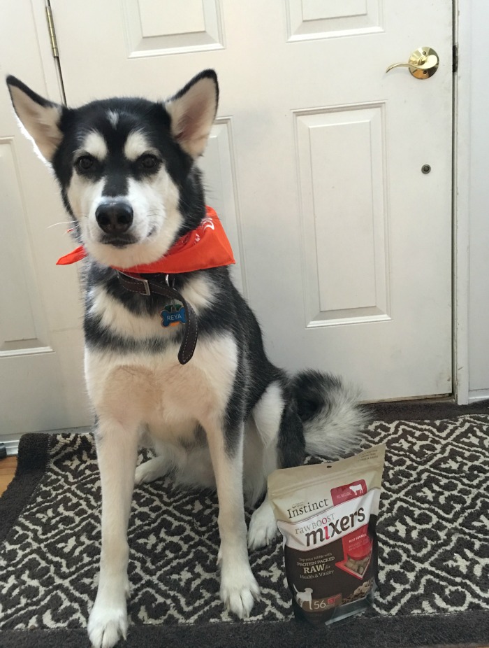 Add Fun to Dog Meals with Instinct Raw Boost Mixers #mixitup 3