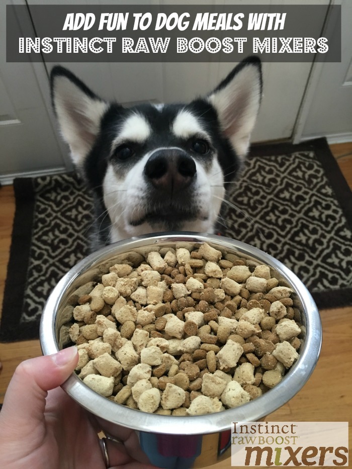 Looking for a healthy, all natural topper to add to your dogs food? See why Reya loves Instinct Raw Boost Mixers freeze dried food in her kibble here! 