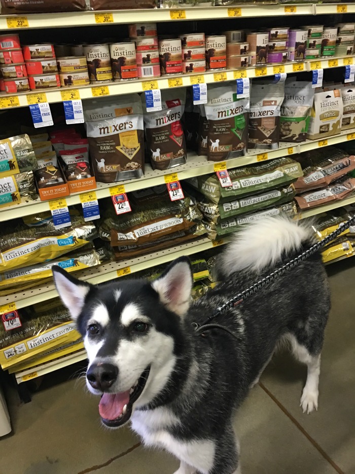 Looking for some all natural, freeze dried raw food to top your dogs food? See what we think of Instinct Raw Boost Mixers here! #mixitup #sponsored