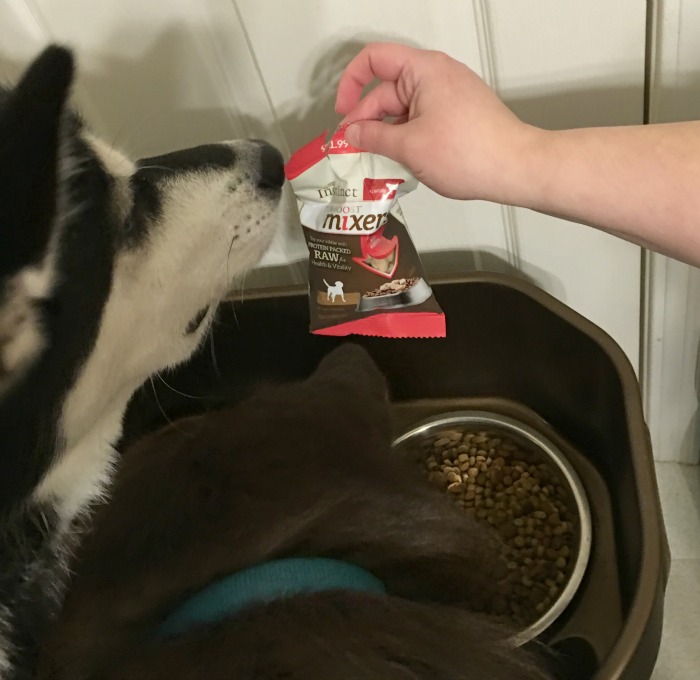 Looking for some all natural, freeze dried raw food to top your dogs food? See what we think of Instinct Raw Boost Mixers here! #mixitup #sponsored