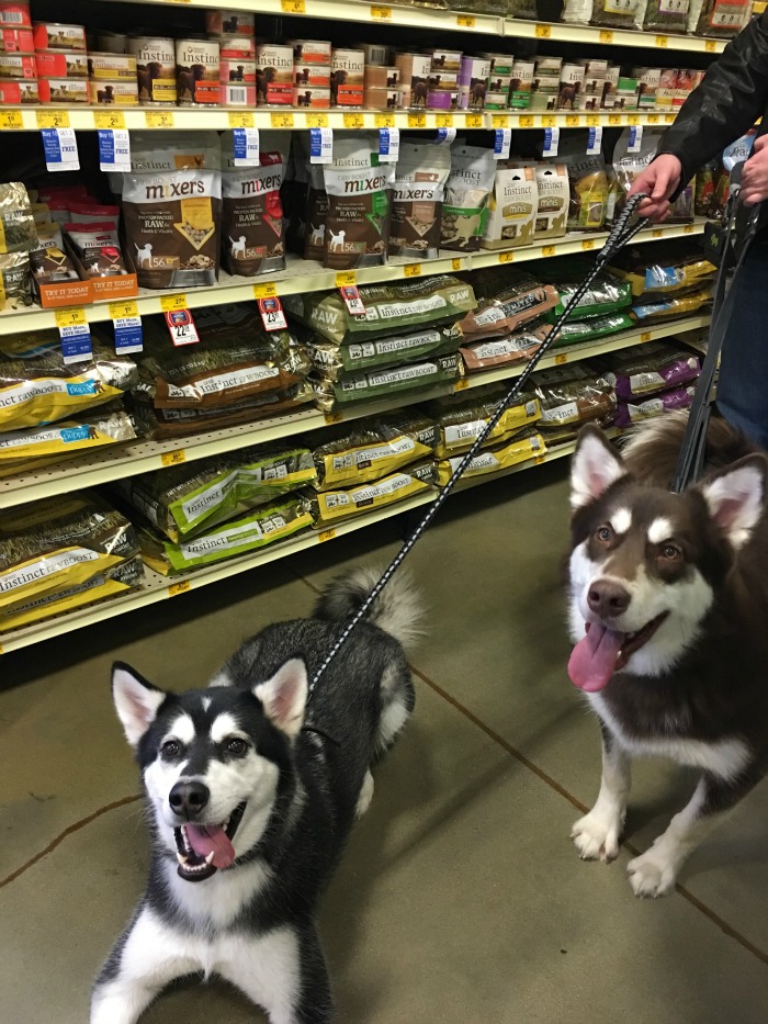 Looking for some all natural, freeze dried raw food to top your dogs food? See what we think of Instinct Raw Boost Mixers here! #mixitup #sponsored