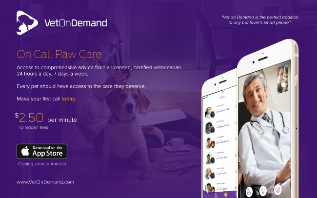 Vet on Demand