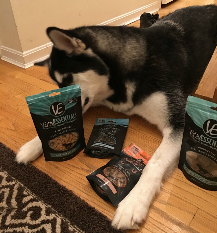 Looking for some awesome, all natural dog treats? See what we think of Vital Essentials line of fish treats here!