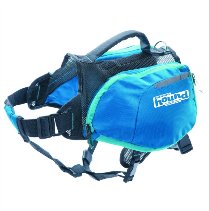 daypak backpack