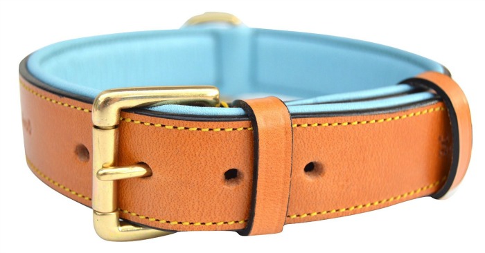 leather dog collar