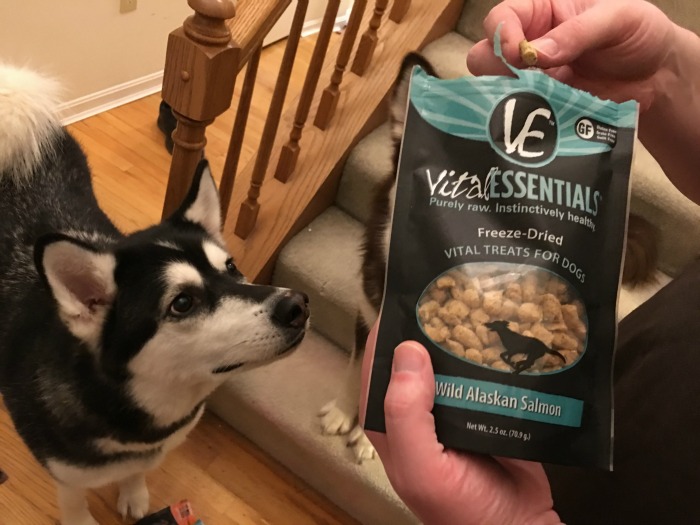 Looking for some awesome, all natural dog treats? See what we think of Vital Essentials line of fish treats here!