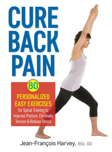 Looking for ways to fight back against back pain? See what we think of Back Pain: 80 Personalized Easy Exercises by Jean-Francois Harvey here!