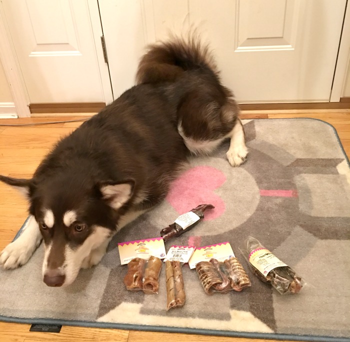 Looking for awesome treats for your favorite dog? See what Ivi thinks of Jones Natural Chews newest variety of USA made treats here! 