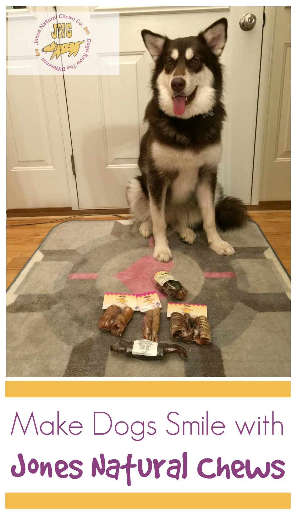 Looking for awesome treats for your favorite dog? See what Ivi thinks of Jones Natural Chews newest variety of USA made treats here! 