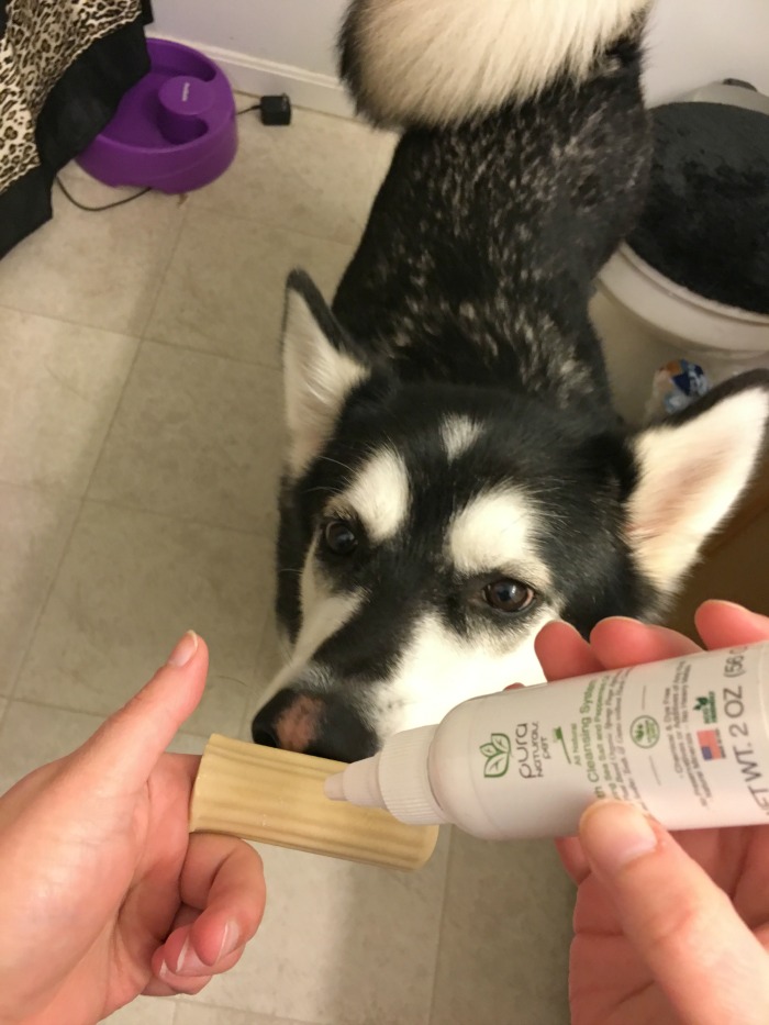 Looking for high quality, organic grooming products for your pets made from all natural ingredients? See what we think of Pure Naturals Pet products here!