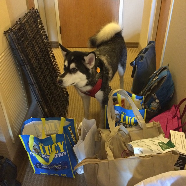 Reya posing with all the loot..I mean, goody items, we got at the 3 day conference! 