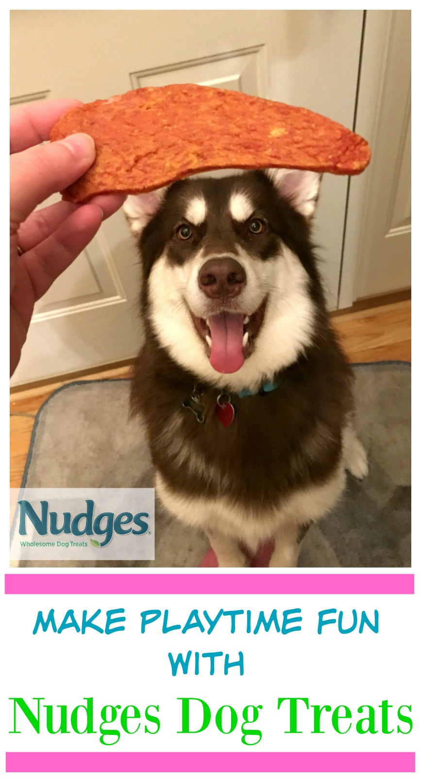 Looking for delicious, budget friendly, high quality dog treats that are made in the United States? See why we loved Nudges Dog Treats for Ivi & Rylie here! #NudgeThemBack