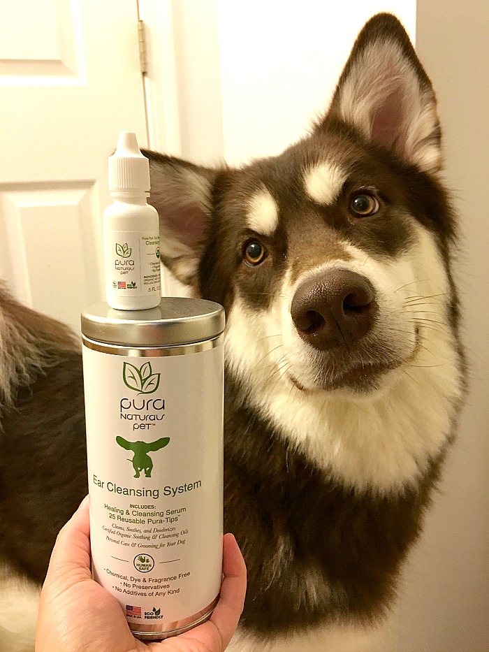 Want to help your dog have super clean, great smelling ears? See why we are fans of Pura Naturals Pet Pura-Tip Ear Cleansing System here! 