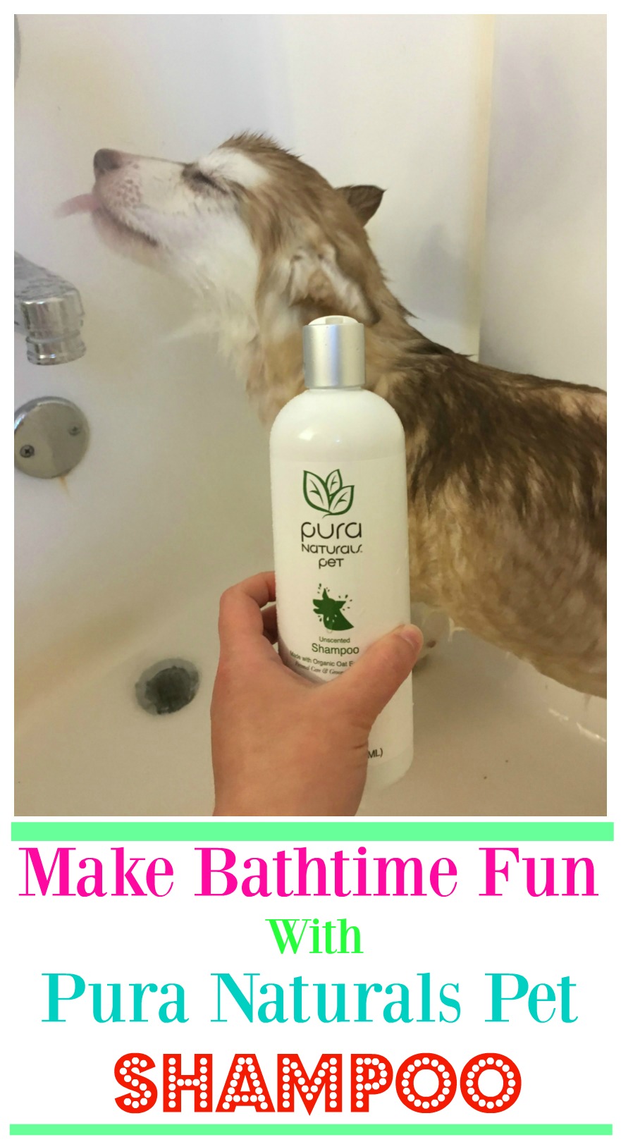 Looking for a natural shampoo that is perfect for both puppies & dogs? See what we think of Pura Naturals Pet line of dog shampoos here! 