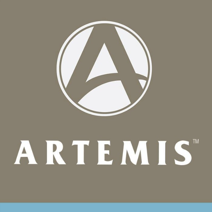 Artemis Logo