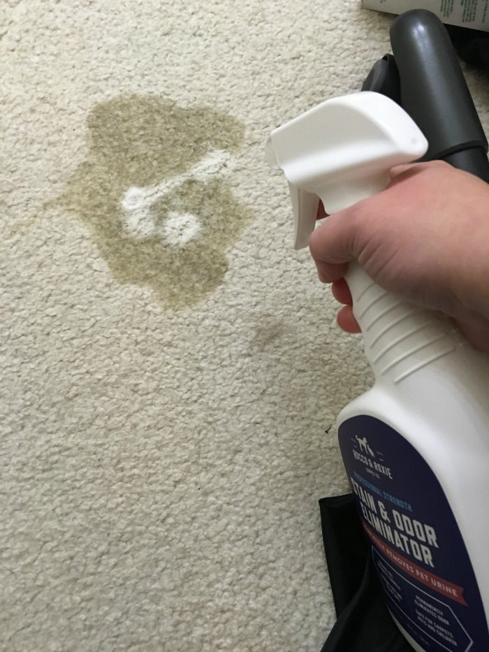 Carpet Cleaner