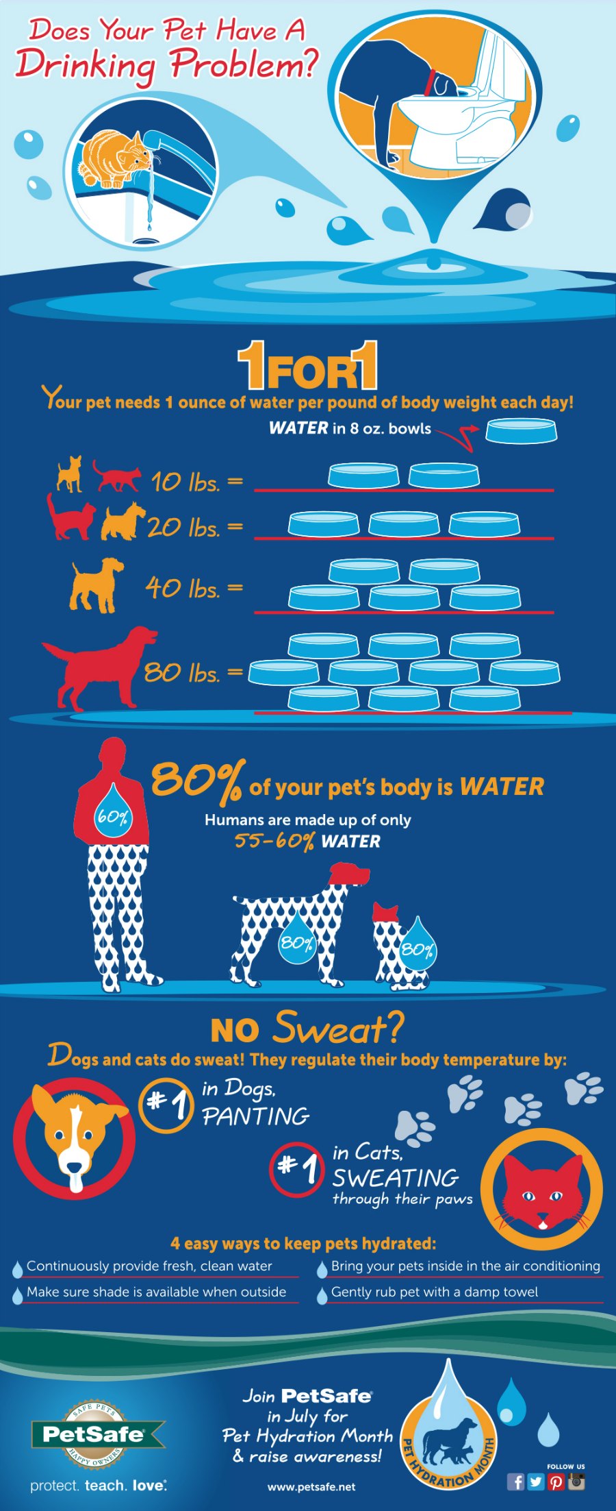 Hydration Infographic_2016_long