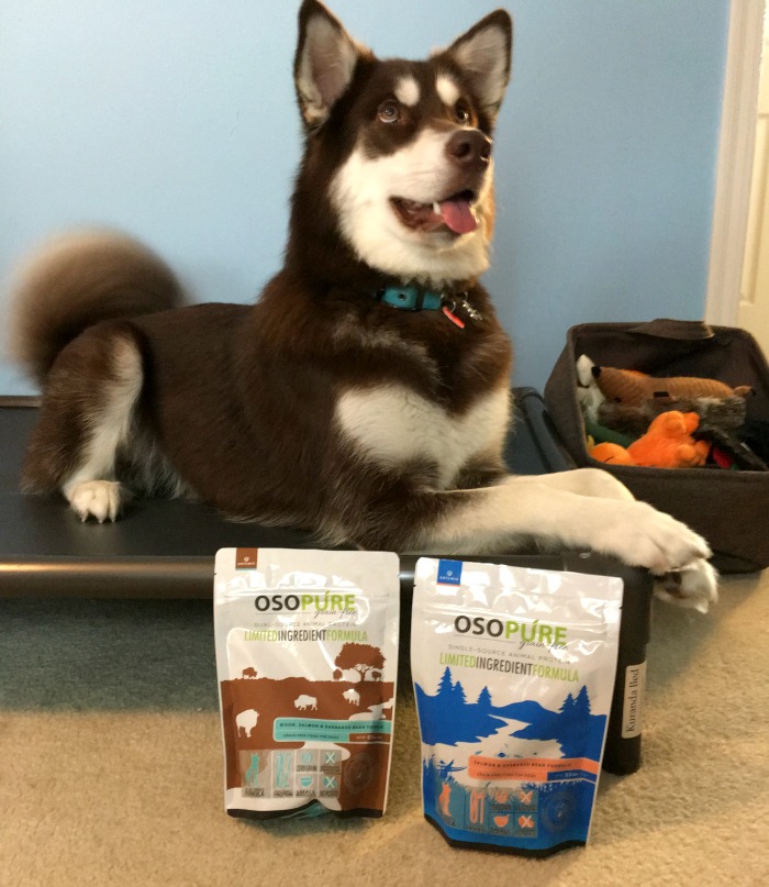 Looking for an all natural dog food? See what our girls think of Artemis's Pet Food's Osopure Dry Food Line here! 