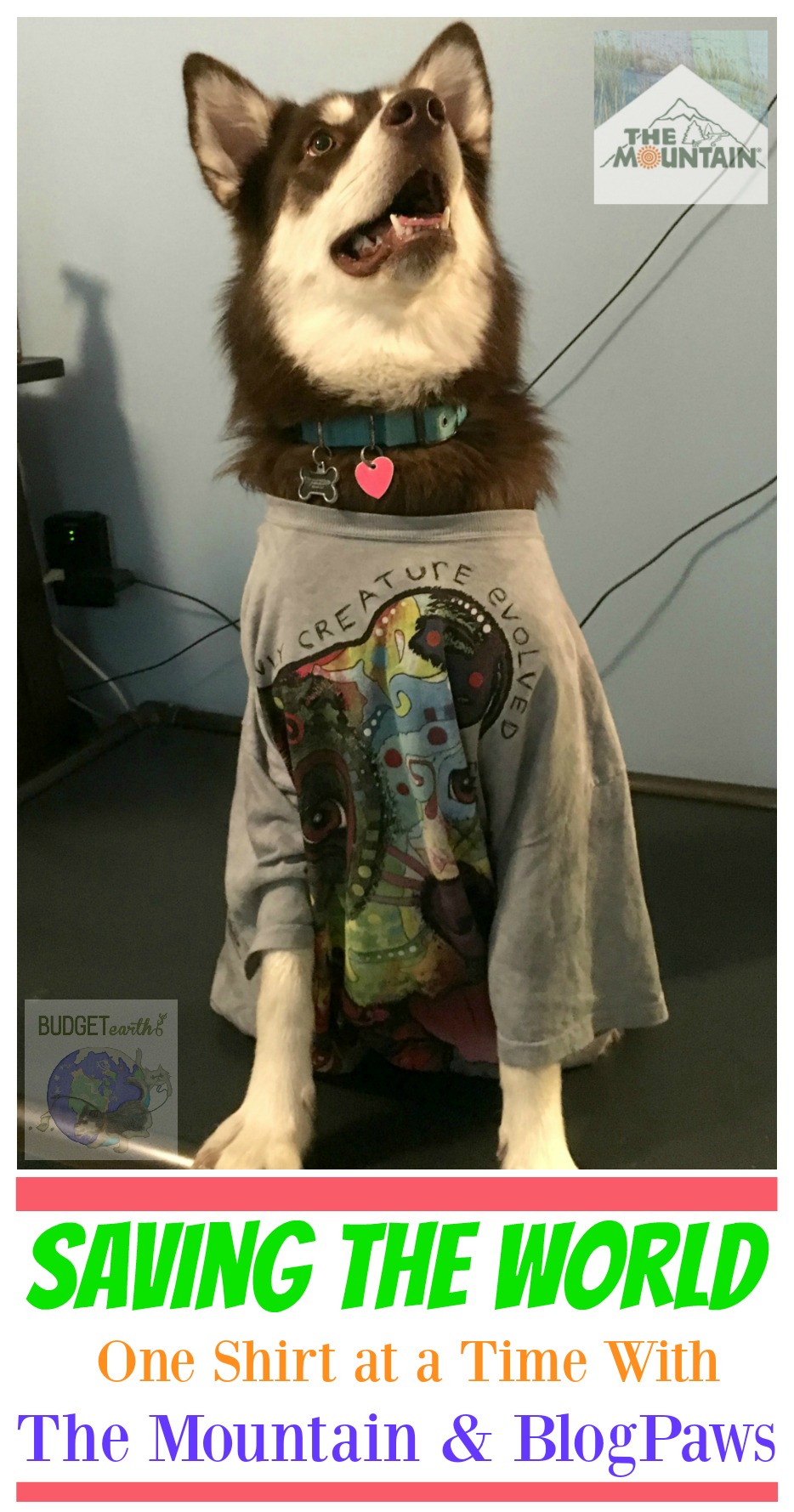 Saving the World One Shirt at a Time with The Mountain & BlogPaws