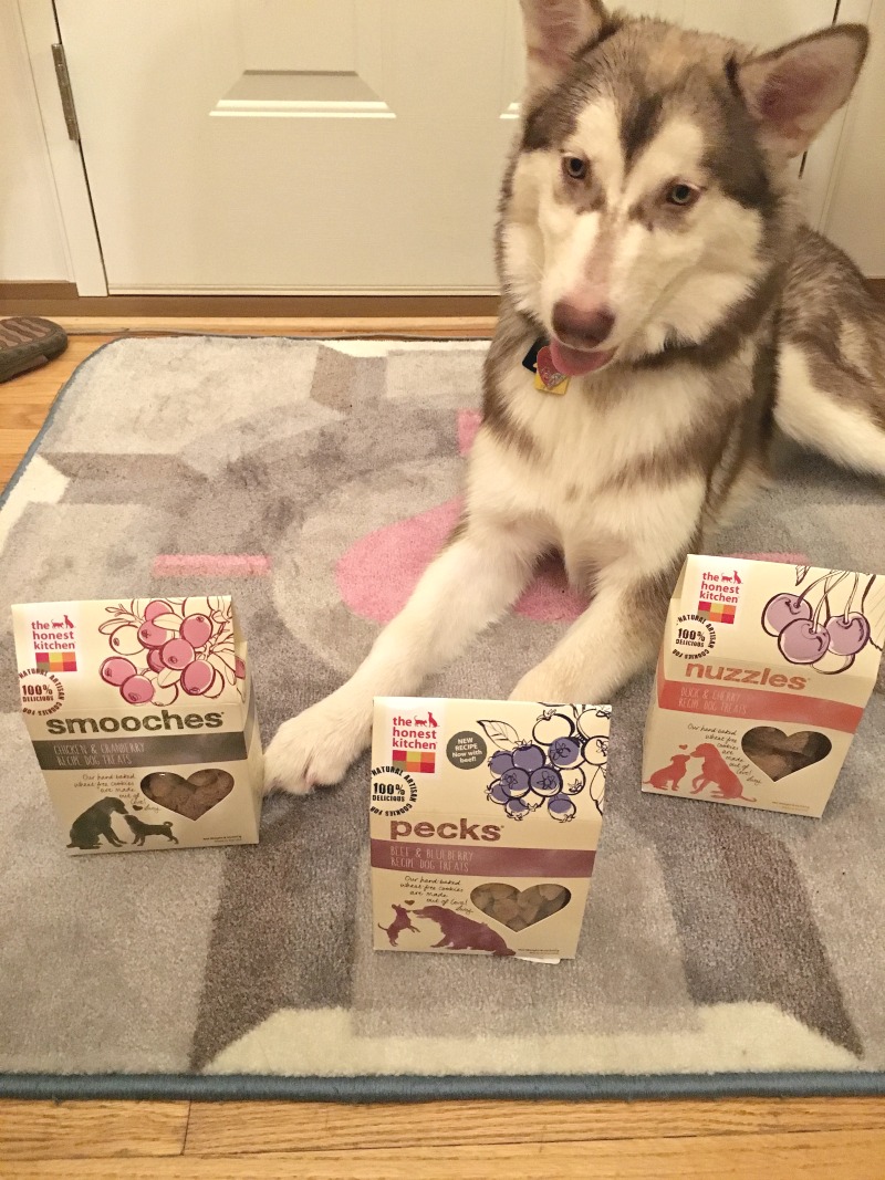 Looking for training treat that your dog is sure to love? See what we think of Honest Kitchen's line of dog treats here! 