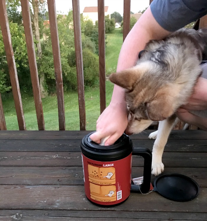 Looking for a way to easily clean muddy paws after a fun day outside? See what we think of the PawPlunger Paw Cleaner here! 