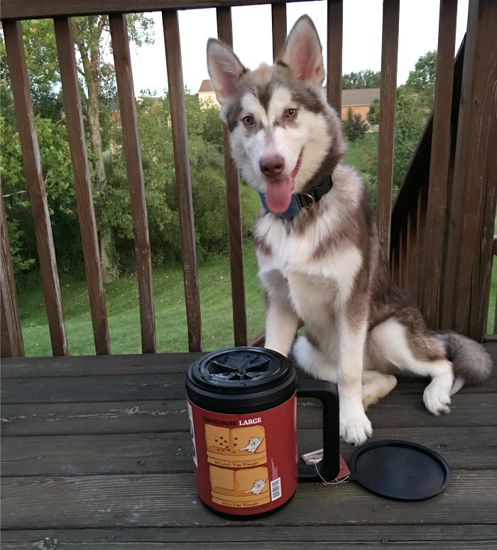 Looking for a way to easily clean muddy paws after a fun day outside? See what we think of the PawPlunger Paw Cleaner here! 