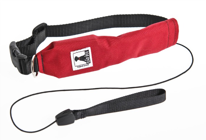 Rad Dog Release & Run Retractable Leash