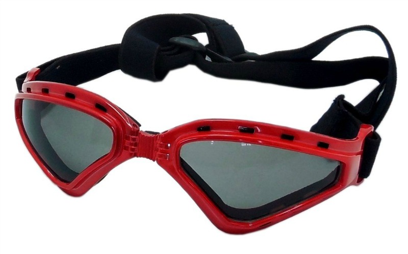 dog goggles 2