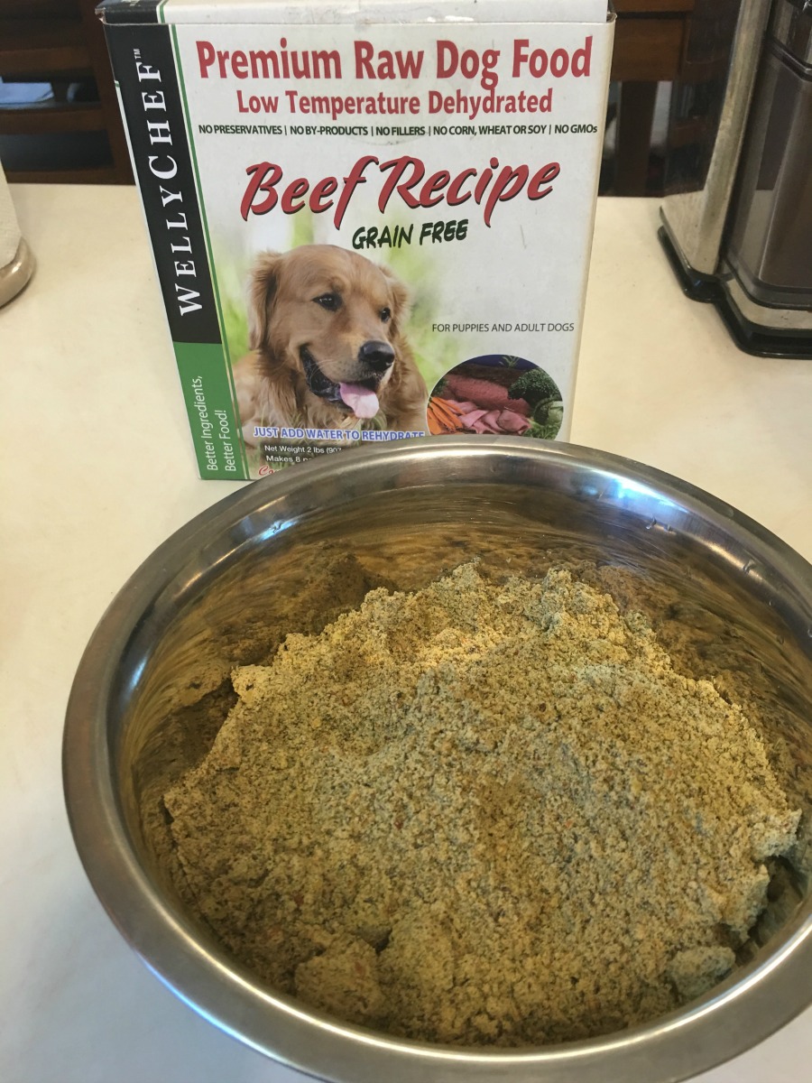 Looking for a dehydrated dog food that isn't just yummy for dogs but gives the benefits of raw feeding? See what we think of WellyChef RAW Low Temperature Dehydrated Dog Food here! 