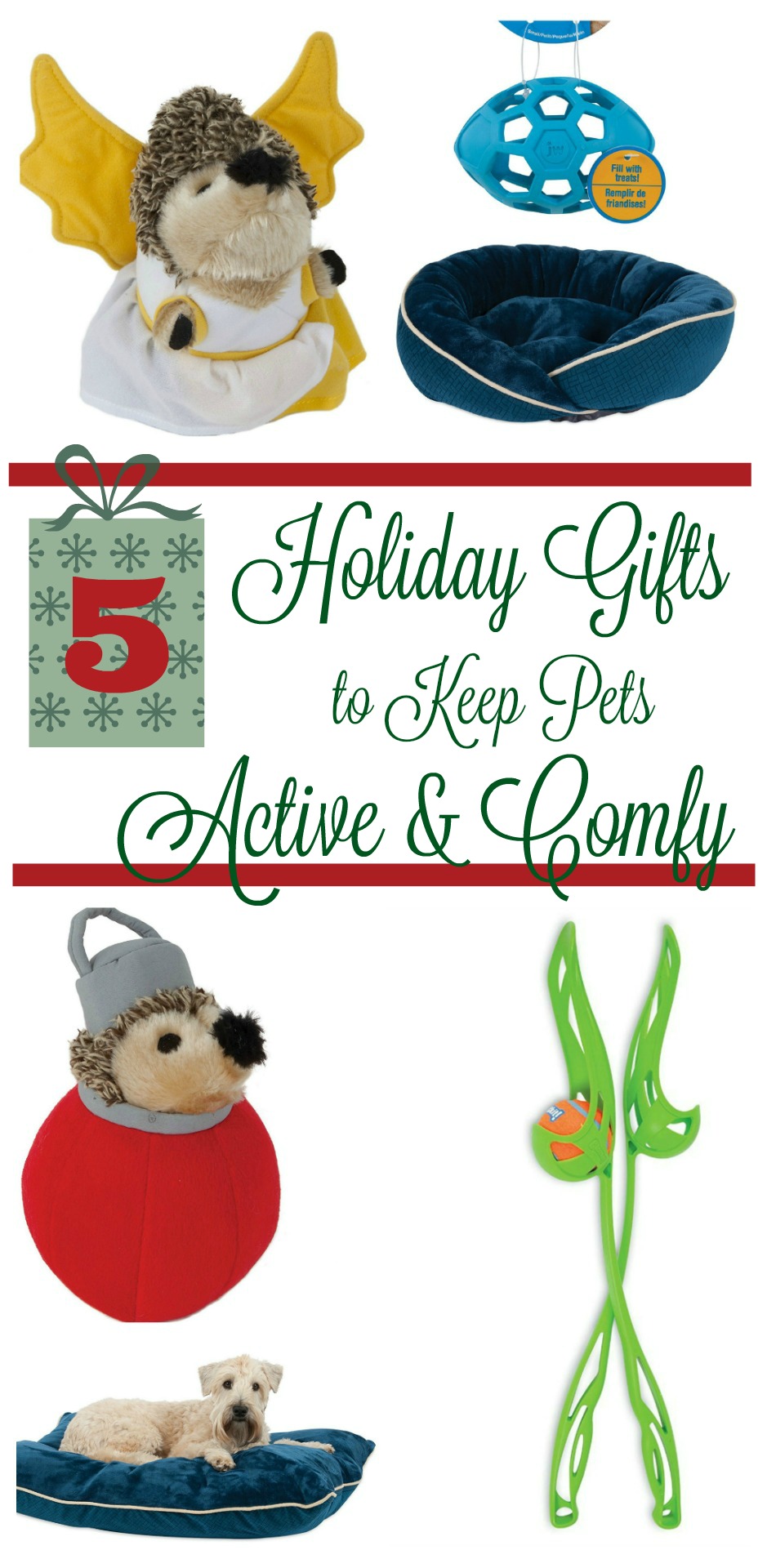 Looking for fun gifts to keep your pets comfy & active during the holidays? Check out our favorite gift ideas from Petmate here! 