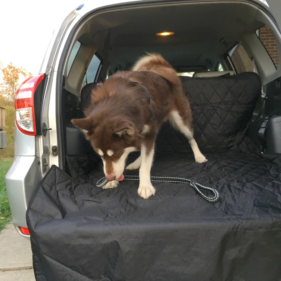 Want to make traveling comfortable for your dog & safe for your vehicle? See why we love the 4Knines SUV Cargo Cover here! 